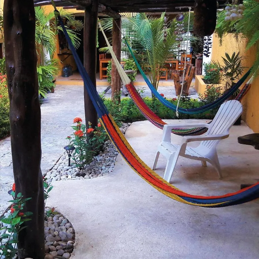 Hotel Bosque Caribe, 5Th Av. Zone Playa del Carmen