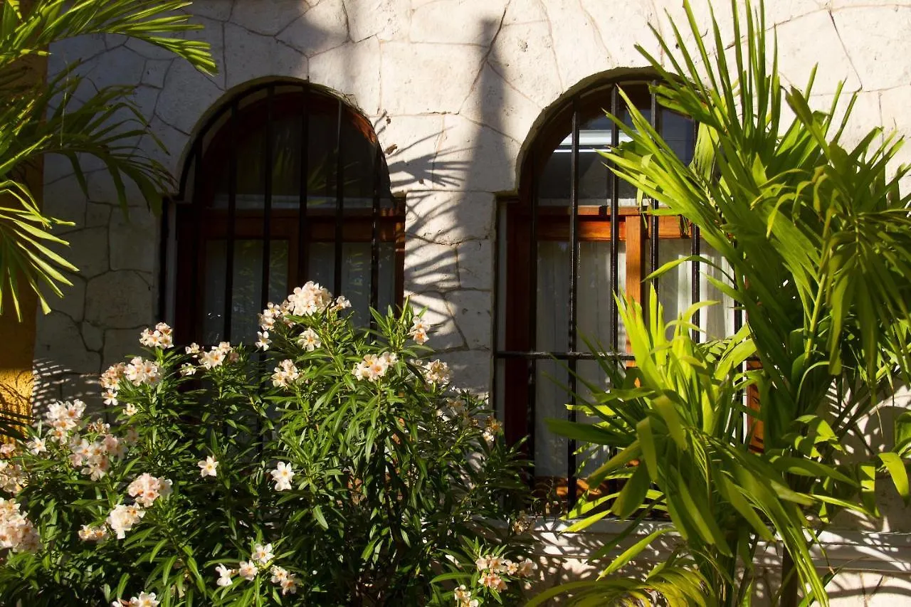 Hotel Bosque Caribe, 5th Av. zone Playa del Carmen Mexico