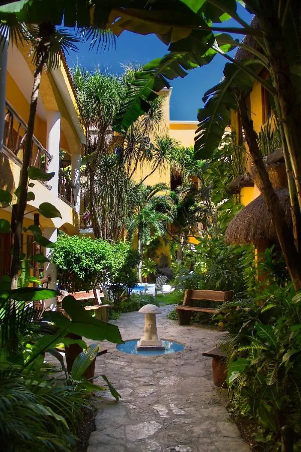 Hotel Bosque Caribe, 5th Av. zone Playa del Carmen 3*,