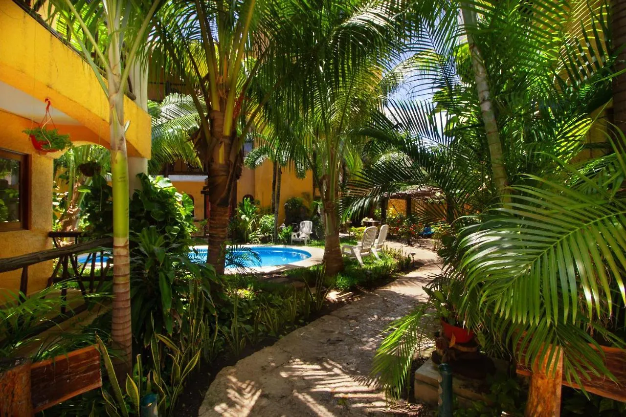 Hotel Bosque Caribe, 5th Av. zone Playa del Carmen