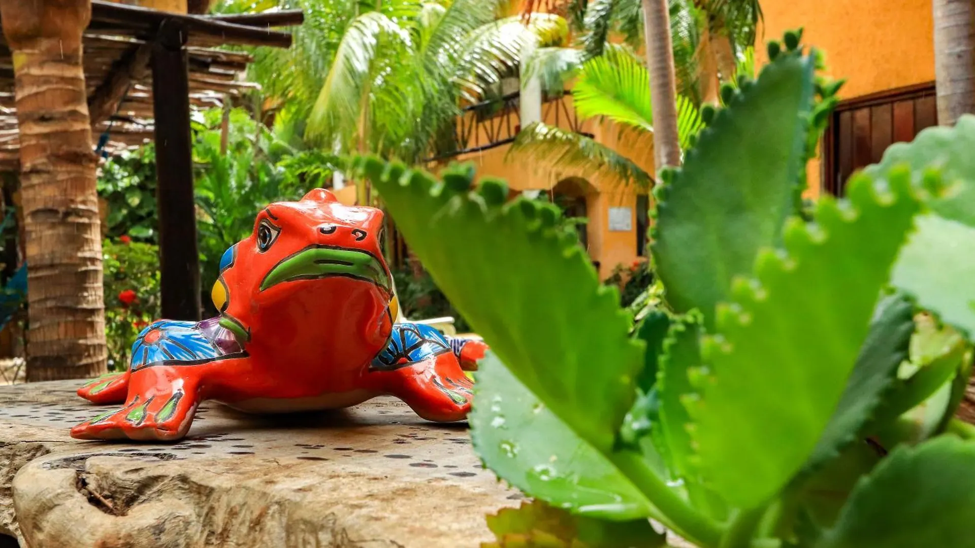 Hotel Bosque Caribe, 5Th Av. Zone Playa del Carmen Mexiko