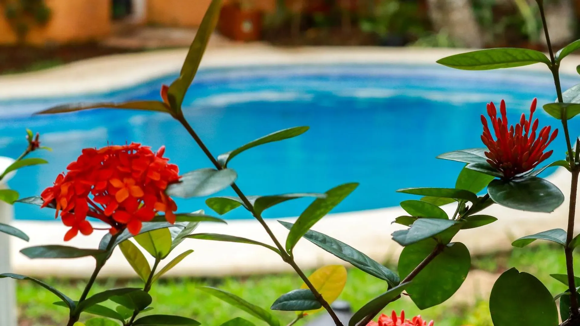 Hotel Bosque Caribe, 5Th Av. Zone Playa del Carmen 3*,