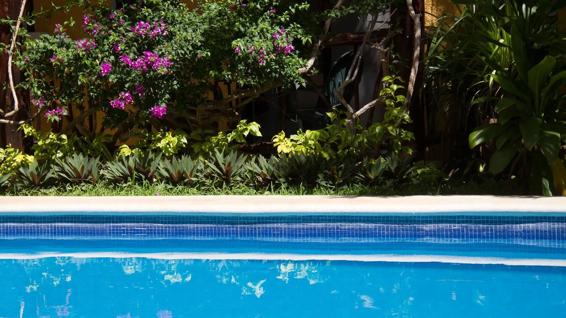***  Hotel Bosque Caribe, 5Th Av. Zone Playa del Carmen Mexiko