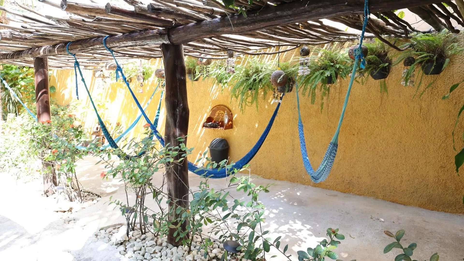 Hotel Bosque Caribe, 5th Av. zone Playa del Carmen