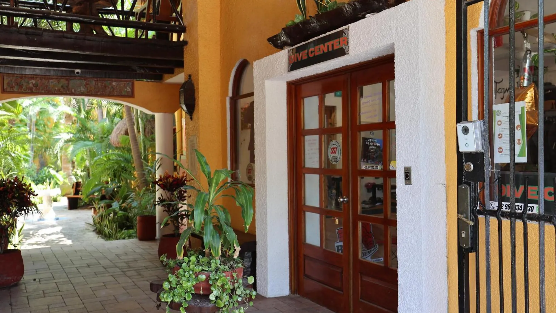 Hotel Bosque Caribe, 5th Av. zone Playa del Carmen