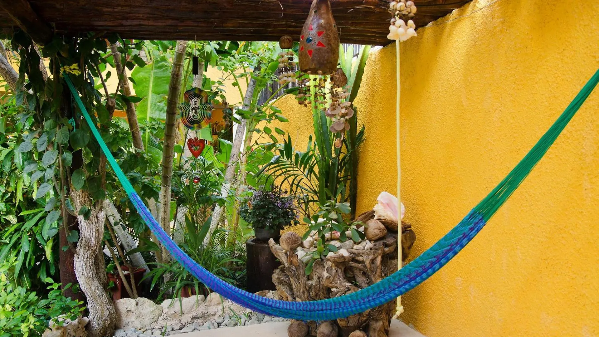 Hotel Bosque Caribe, 5th Av. zone Playa del Carmen