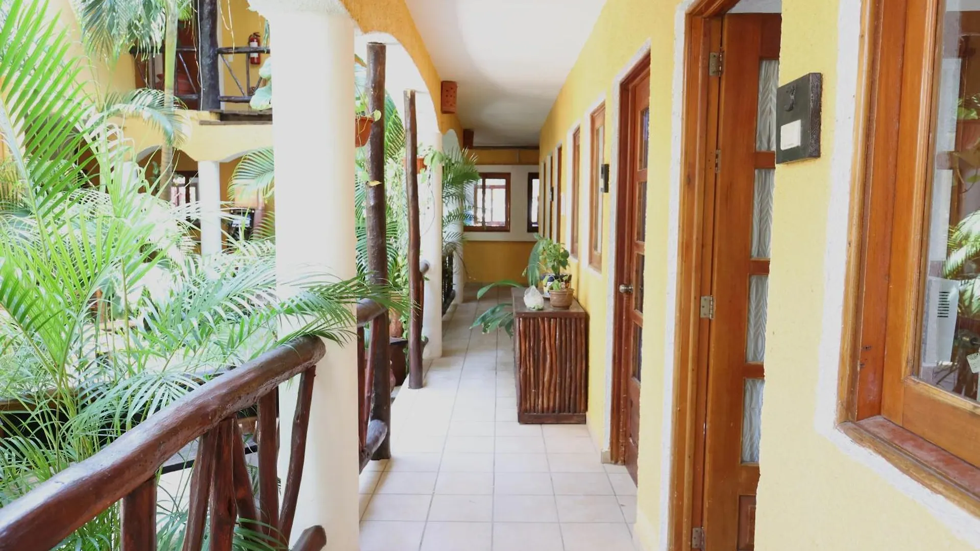 Hotel Bosque Caribe, 5th Av. zone Playa del Carmen
