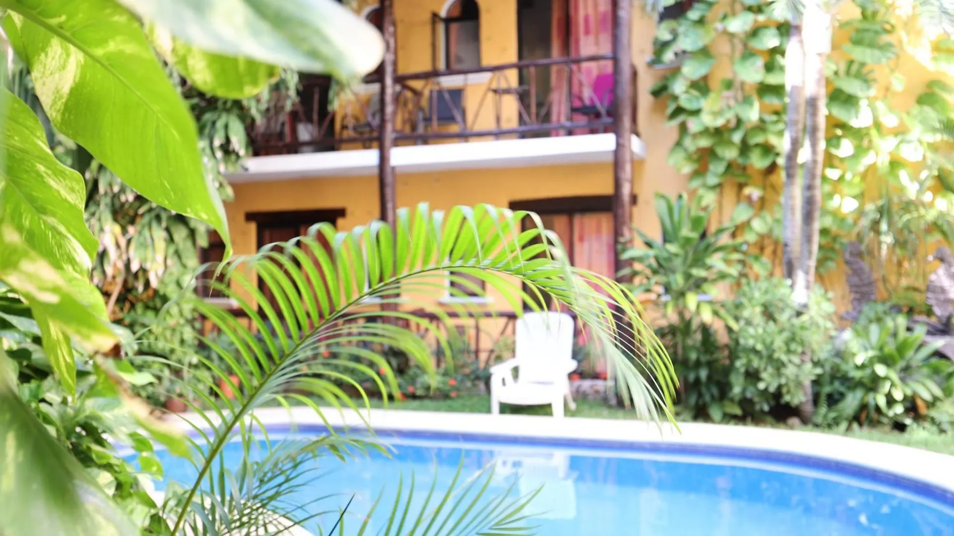 Hotel Bosque Caribe, 5th Av. zone Playa del Carmen