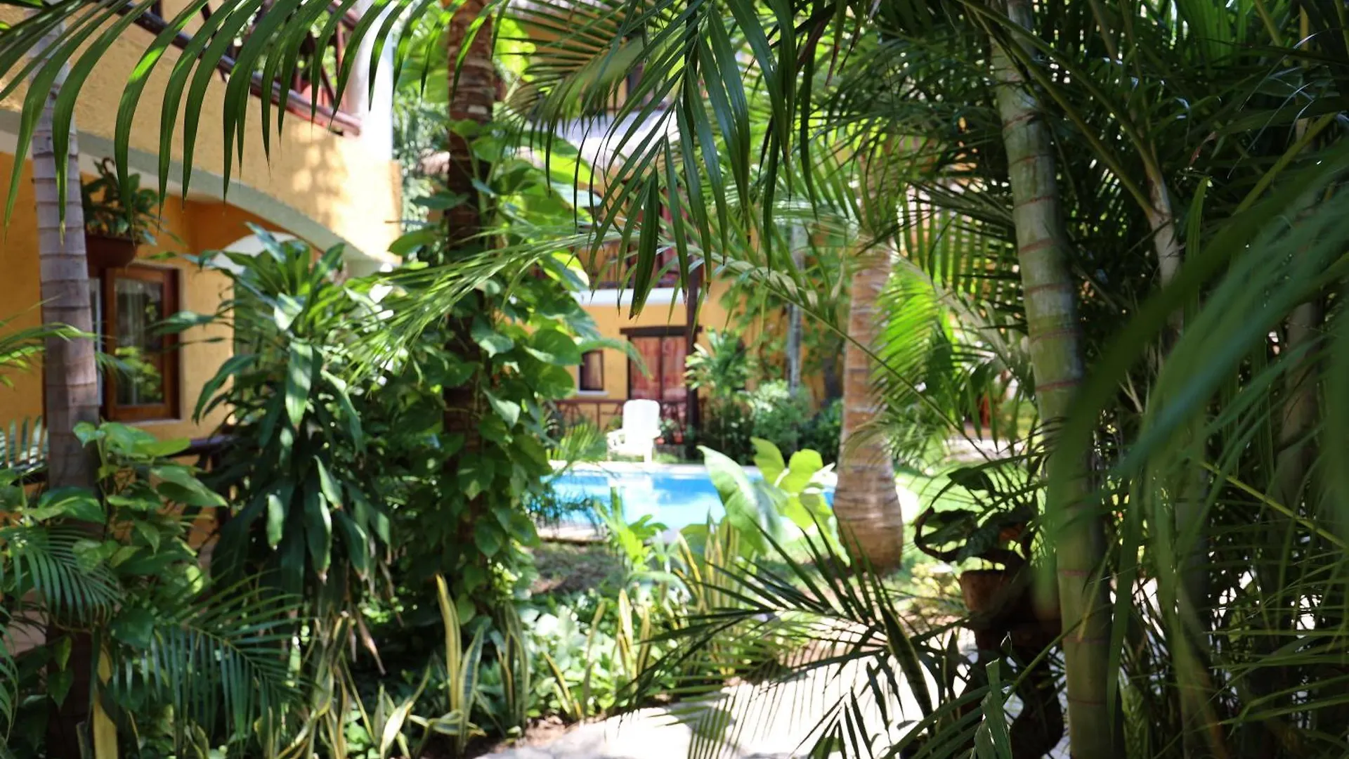 Hotel Bosque Caribe, 5Th Av. Zone Playa del Carmen 3*,  Mexiko