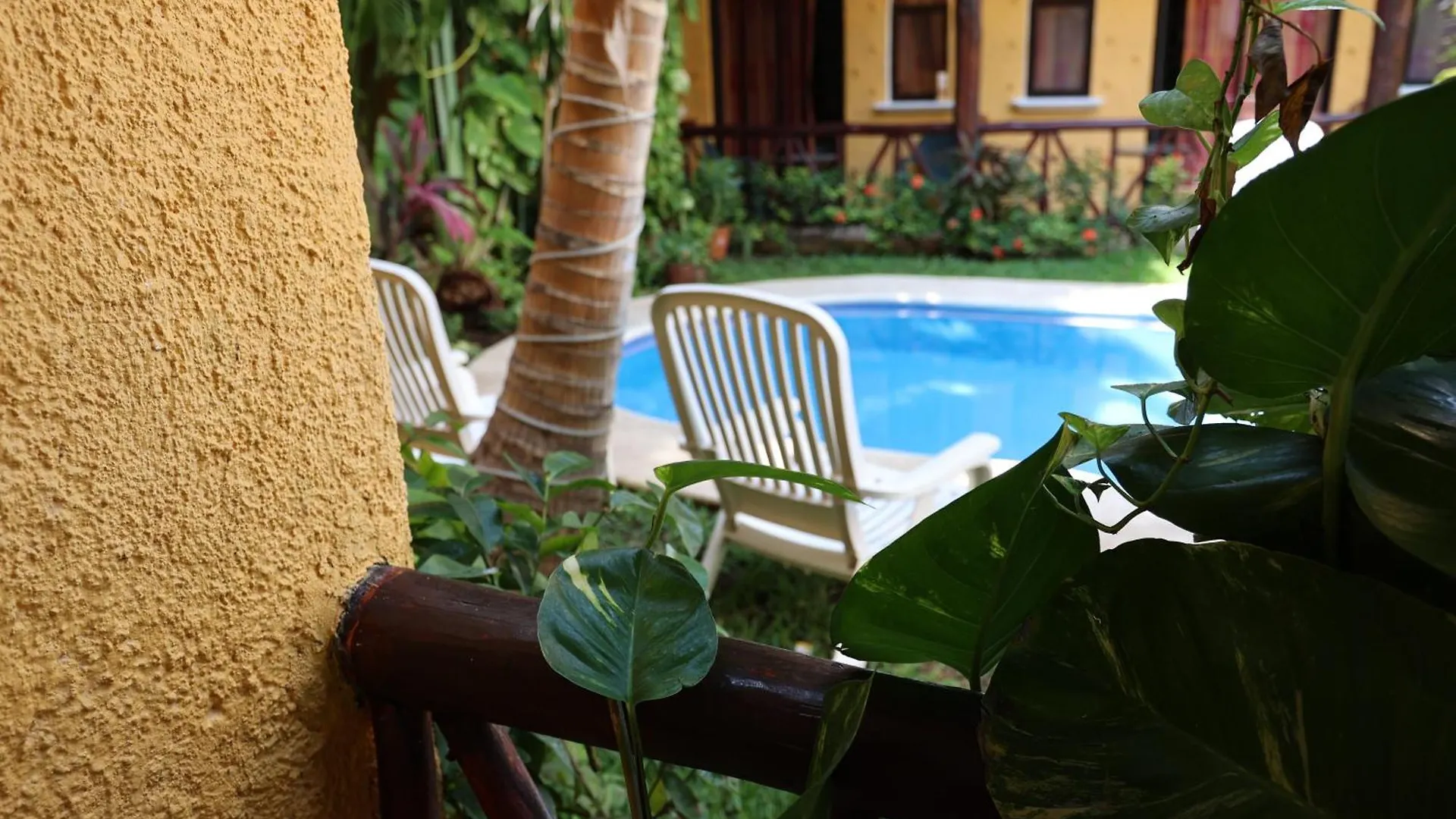 Hotel Bosque Caribe, 5th Av. zone Playa del Carmen
