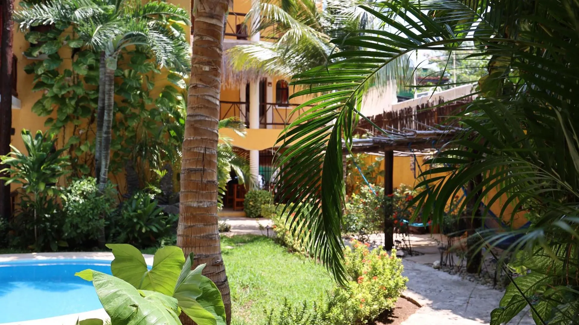 Hotel Bosque Caribe, 5th Av. zone Playa del Carmen