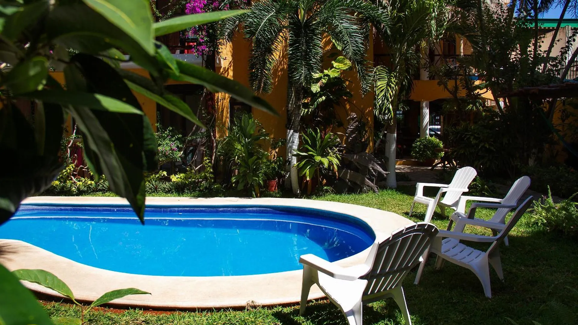 Hotel Bosque Caribe, 5th Av. zone Playa del Carmen