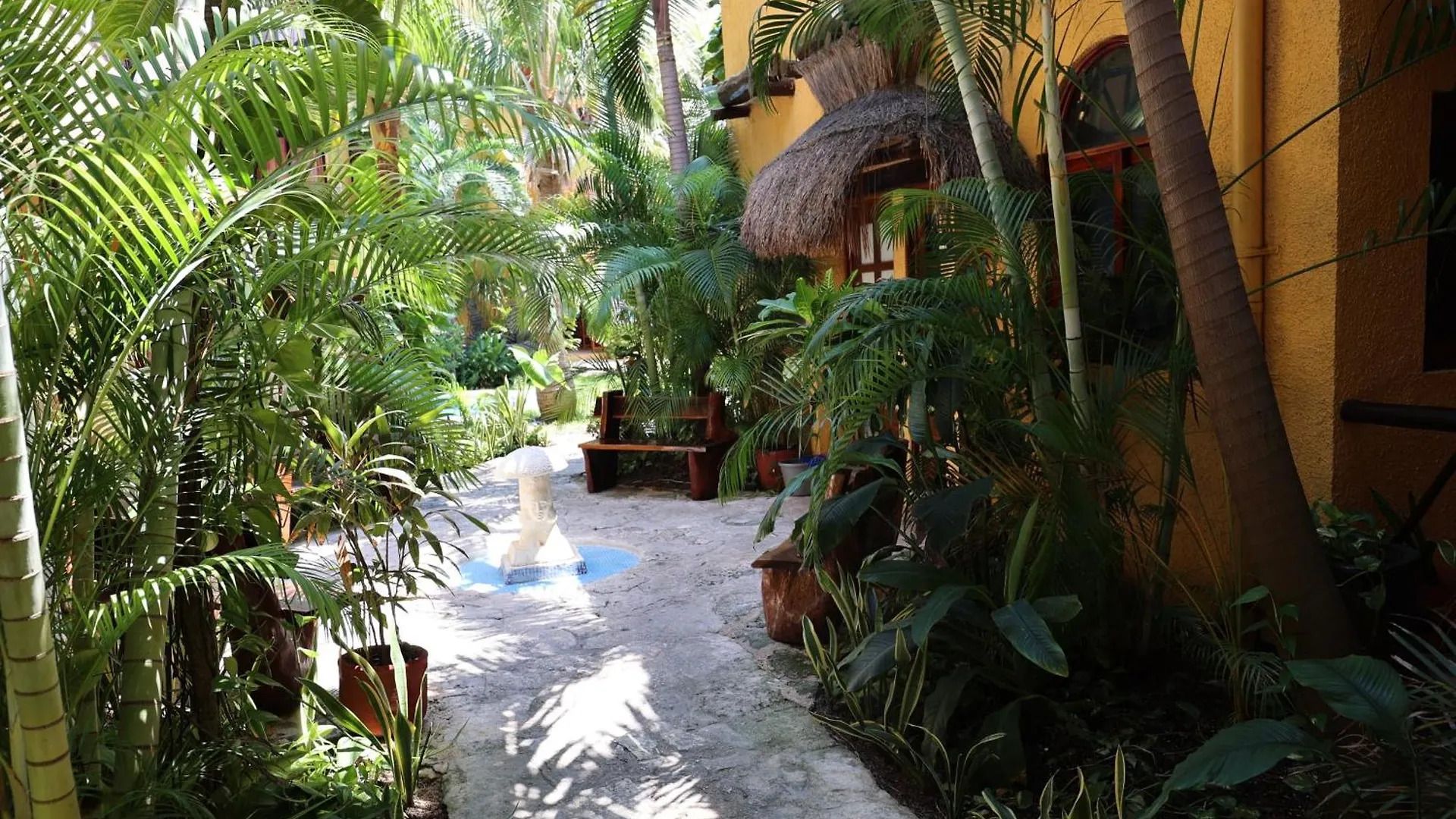 Hotel Bosque Caribe, 5th Av. zone Playa del Carmen
