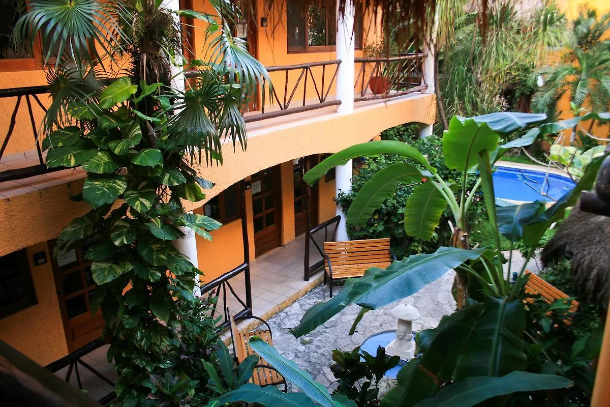 ***  Hotel Bosque Caribe, 5Th Av. Zone Playa del Carmen México